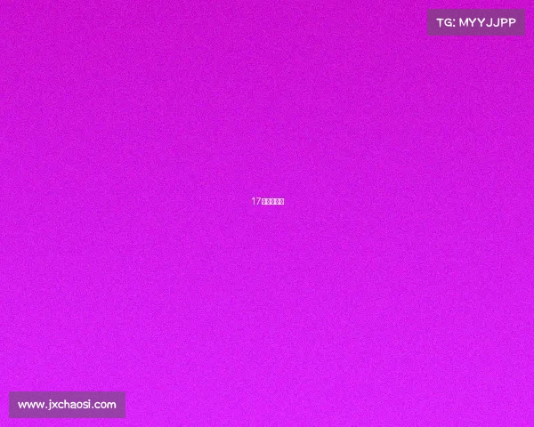 17年女排联赛 17年女排联赛